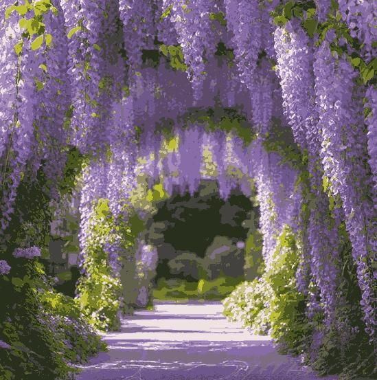 The Garden?s Cascading Beauty All Year Round